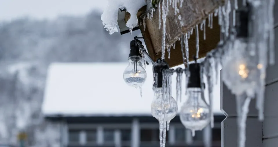 frozen lightbulbs