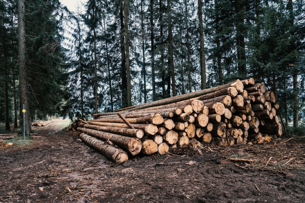 forestry business