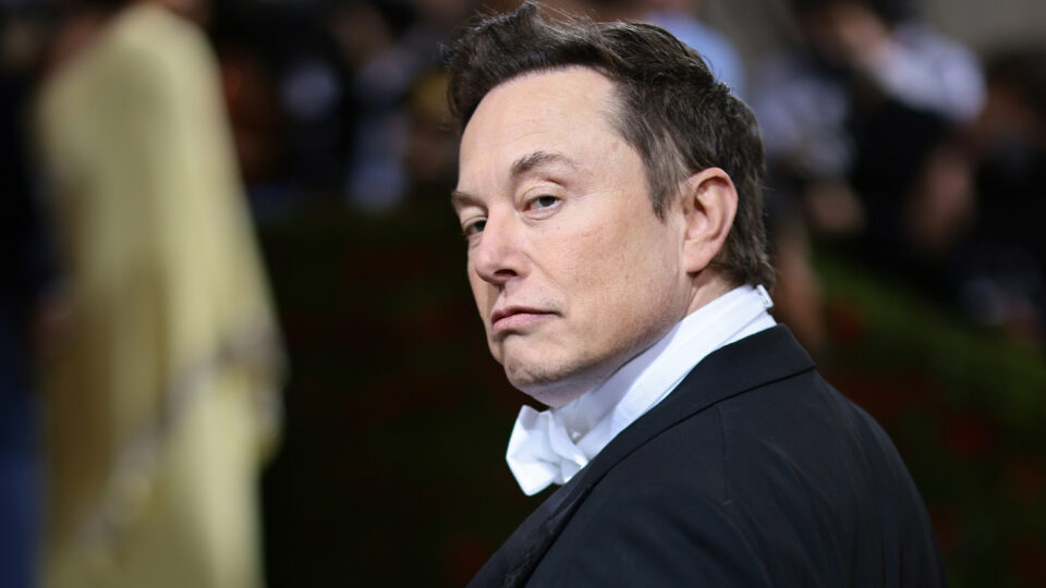 Elon Musk dank face