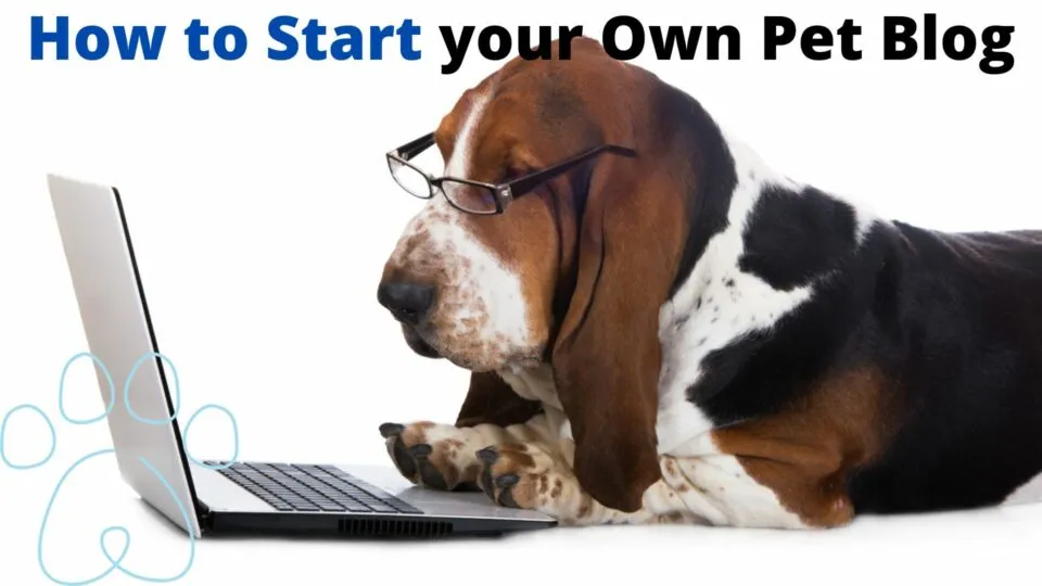 Pet blogging